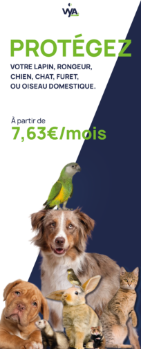assurance animal vya assurances à partir de 7,63 euros par mois